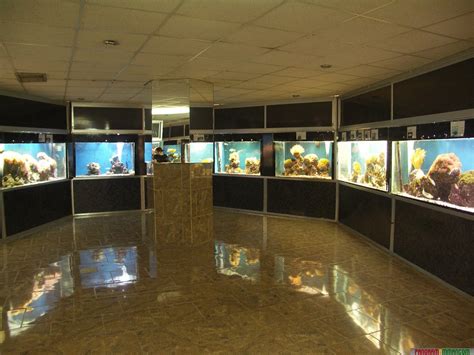 Aqaba Aquarium