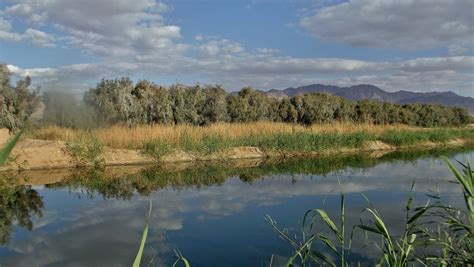 Aqaba Bird Observatory