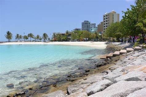 Artificial Beach Male