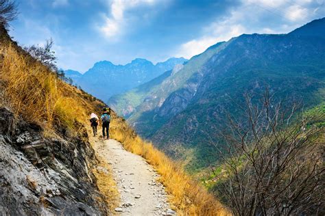 Bamboo Forest Tiger Leaping Gorge