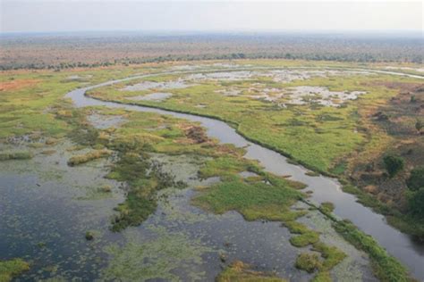 Bangweulu Wetlands Zambia