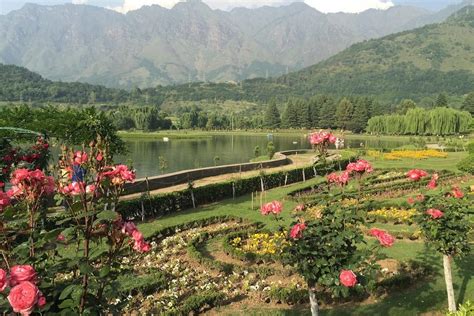 Botanical Garden Srinagar