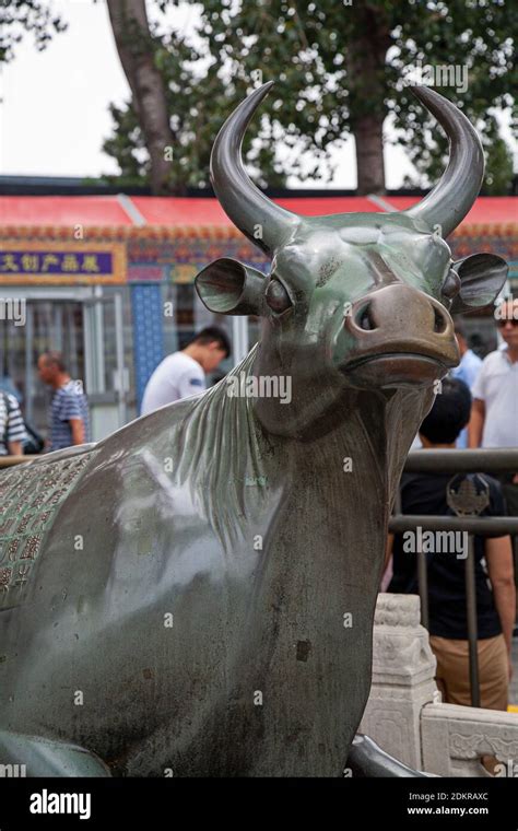 Bronze Ox Beijing