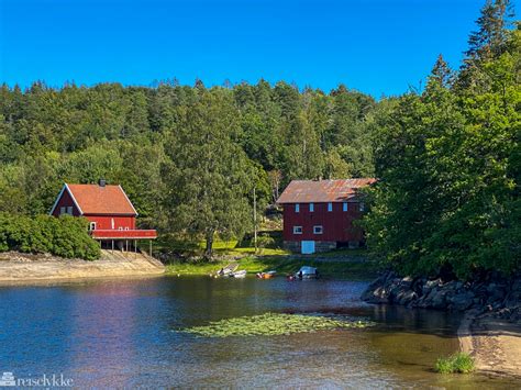 Bøkeskogen The Coast