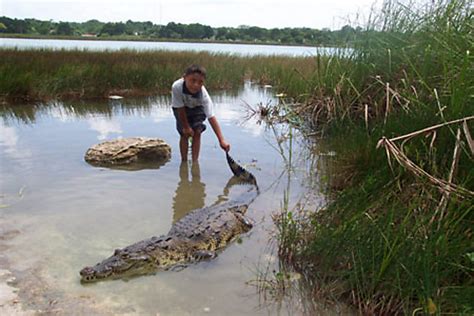 Crocodile-Viewing Deck Cobá