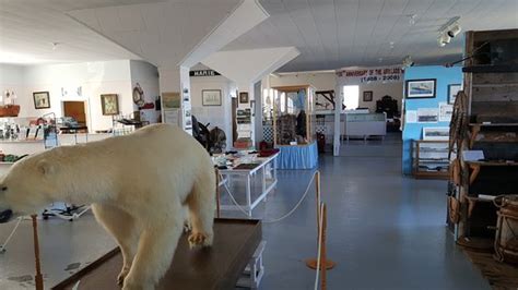 Durrell Museum Newfoundland & Labrador