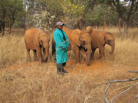 Elephant Orphanage Project Zambia