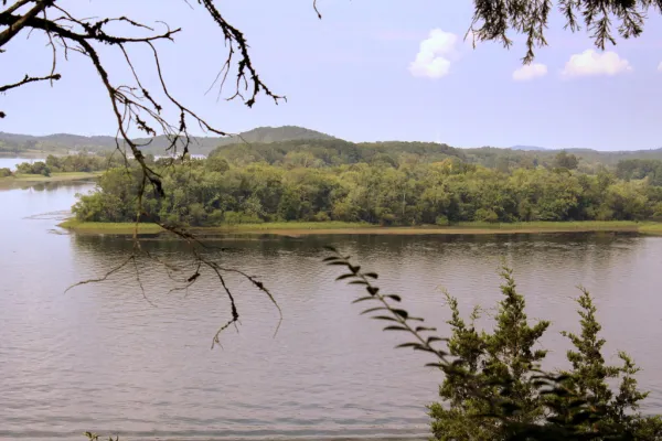 Hamilton Island Wildlife