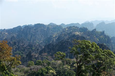 Limestone Forest Viewpoint Central Laos