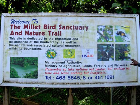 Millet Bird Sanctuary St Lucia