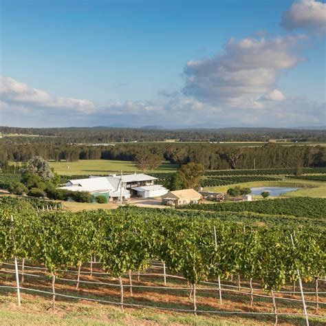 Mt Bright Lookout Hunter Valley