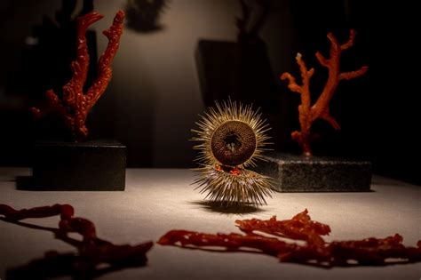 Museo del Corallo Alghero