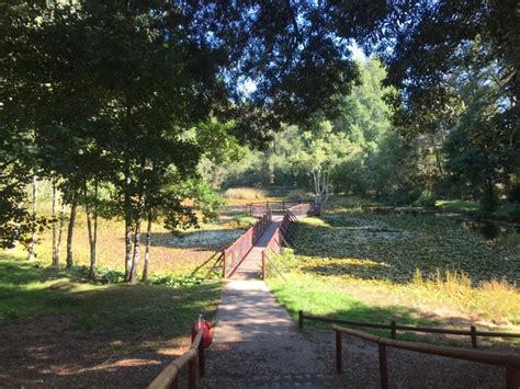 Parque Saval Sur Chico