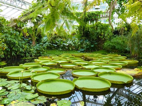 Planetuin Meise Belgium