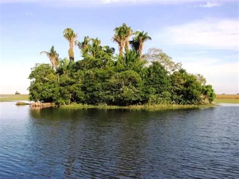 Reserva Barba Azul Amazon Basin
