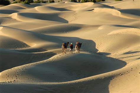 Sam Sand Dunes Jaisalmer