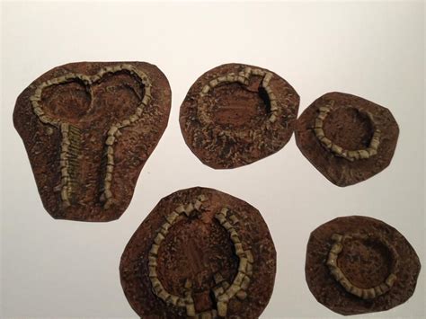 Shell Holes & Dresden Plaque Middle Chile