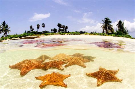 Starfish Point Grand Cayman