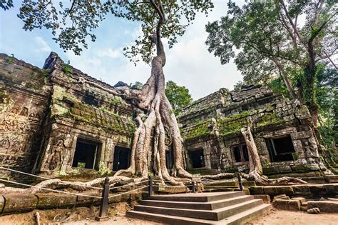 Ta Prohm Cambodia
