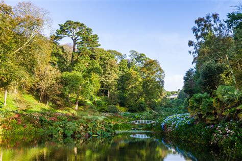 Trebah Garden South Cornwall
