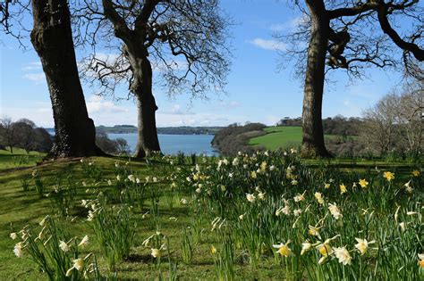 Trelissick South Cornwall