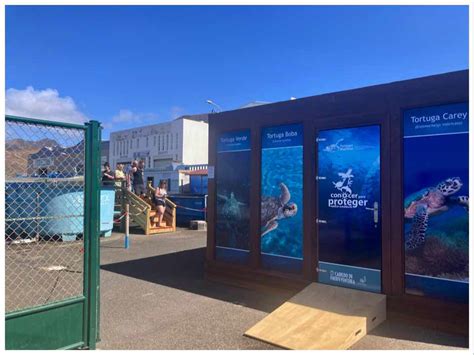 Turtle Nursery Morro Jable