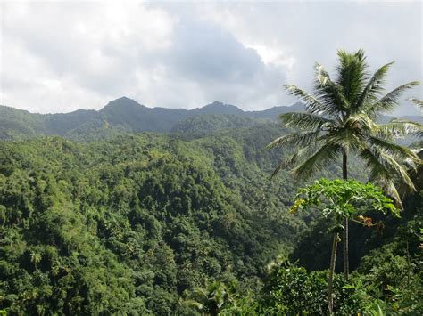 Union Nature Trail St Lucia