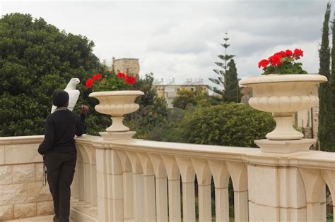 Viewing Balcony Haifa